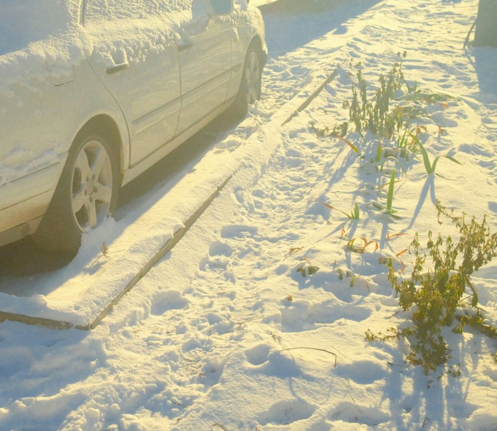 Snowed-in car parked along a curb near campus